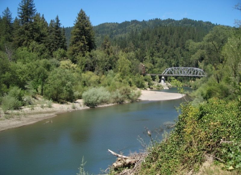 Flat Roof Repair in Forestville, CA
