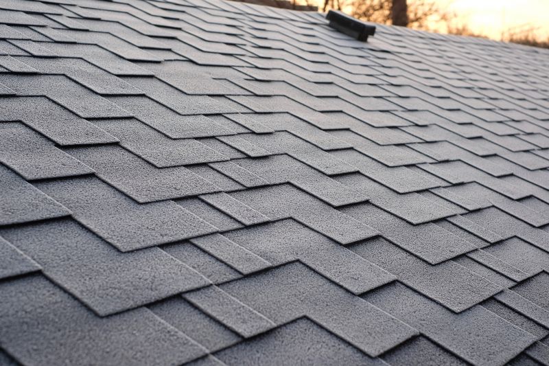 Choosing The Right Asphalt Shingles For Your Home